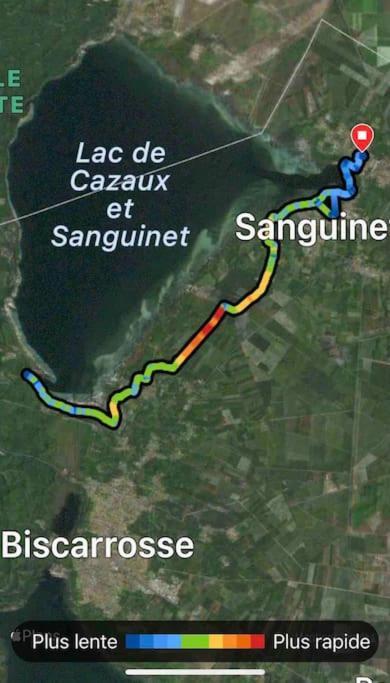 Agreable Maison Landaise Proche Du Lac Sanguinet Exteriör bild