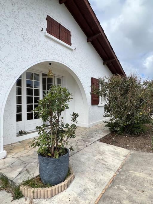 Agreable Maison Landaise Proche Du Lac Sanguinet Exteriör bild