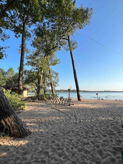 Agreable Maison Landaise Proche Du Lac Sanguinet Exteriör bild