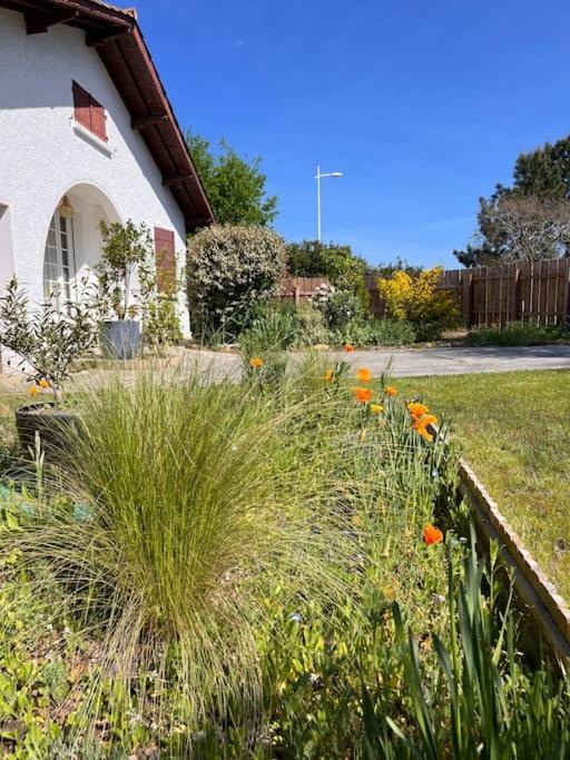 Agreable Maison Landaise Proche Du Lac Sanguinet Exteriör bild